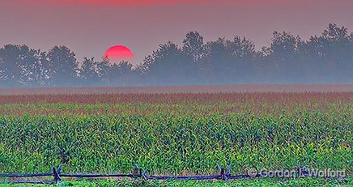 Red Sun Rising_46029-31.jpg - Photographed near Smiths Falls, Ontario, Canada.